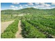 776 Sandy Creek Rd, Grantham QLD 4347