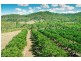 776 Sandy Creek Rd, Grantham QLD 4347