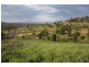 Lot 48 O’Neils Rd, Withcott QLD 4352