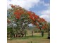 158 Derrymore Road, Derrymore QLD 4352