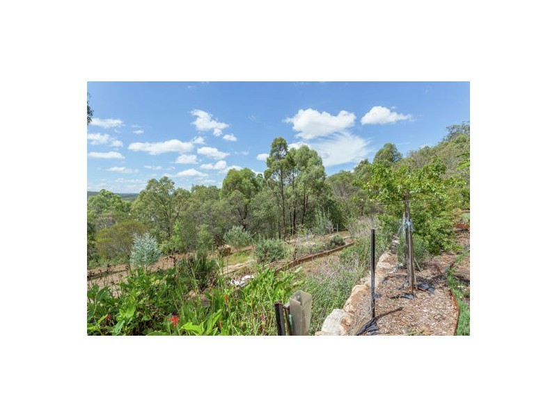 Lot 8, 81 Tabletop Road, Withcott QLD 4352