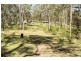 558 Philps Road, Grantham QLD 4347