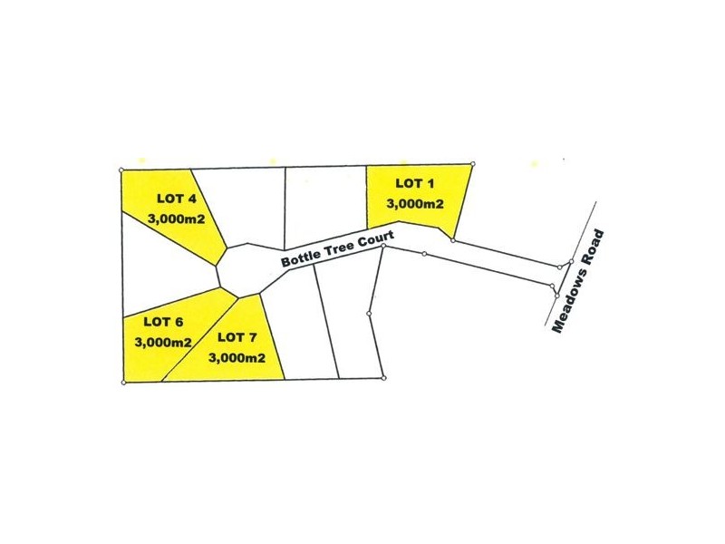 4 Bottle Tree Court, Withcott QLD 4352
