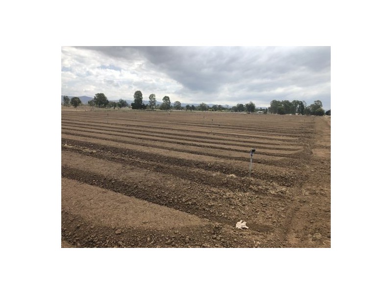 53 Werth Street, Helidon QLD 4344