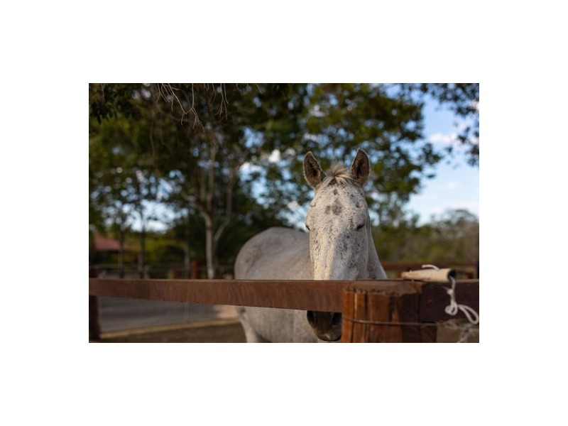 225 Blanchview Road, Withcott QLD 4352