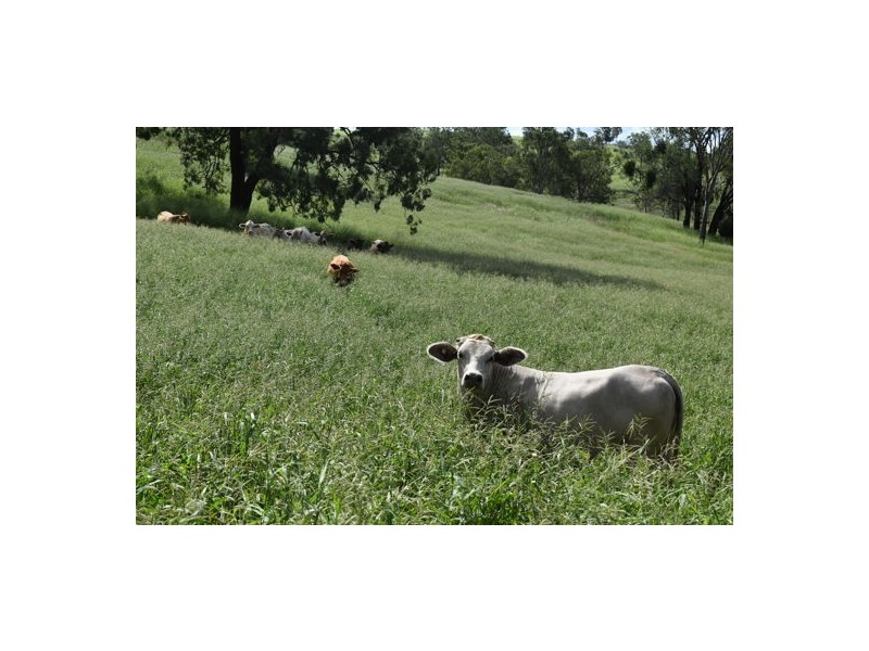 Lot 59 Herrons Road, Iredale QLD 4344