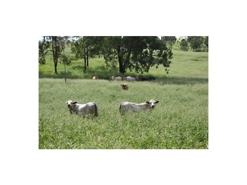 Lot 59 Herrons Road, Iredale QLD 4344