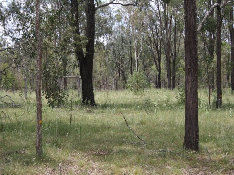 164 Postmans Ridge Road, Withcott QLD 4352