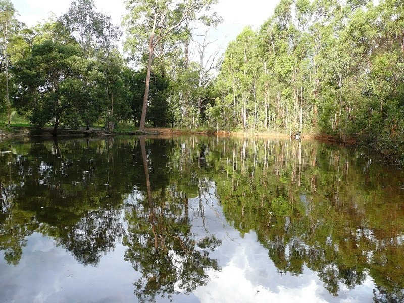215 BARTLEYS ROAD, Spring Creek QLD 4343