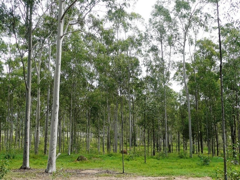 215 BARTLEYS ROAD, Spring Creek QLD 4343