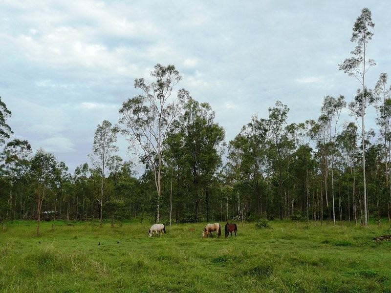 215 BARTLEYS ROAD, Spring Creek QLD 4343