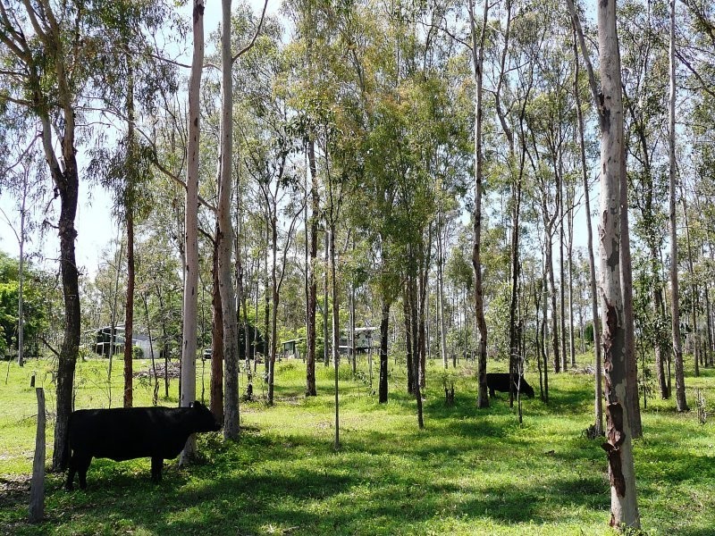215 BARTLEYS ROAD, Spring Creek QLD 4343
