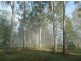 215 BARTLEYS ROAD, Spring Creek QLD 4343