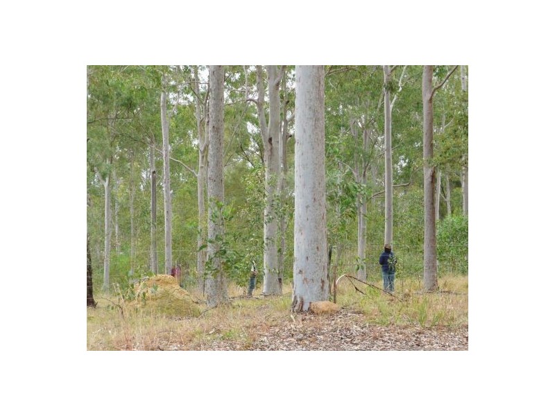 215 BARTLEYS ROAD, Spring Creek QLD 4343