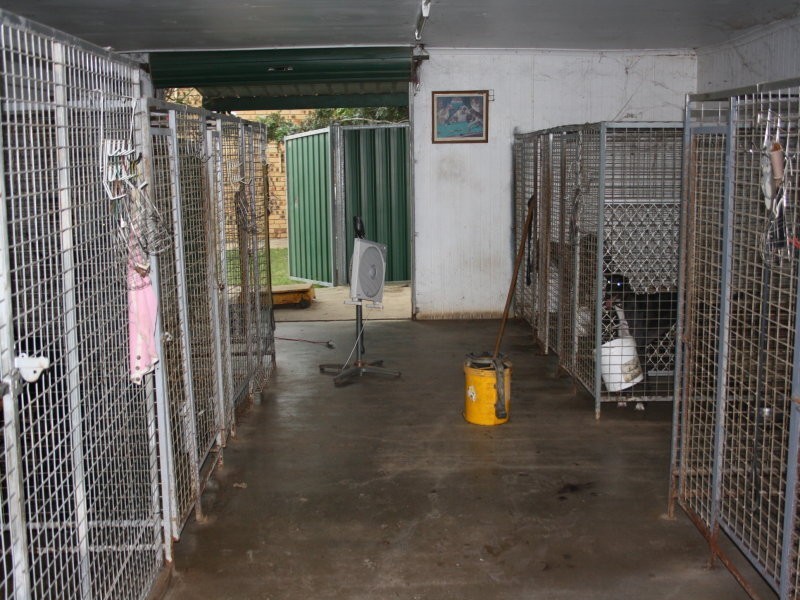 177 Murphys Creek Road, Withcott QLD 4352