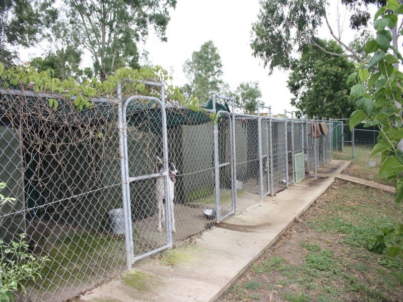 177 Murphys Creek Road, Withcott QLD 4352