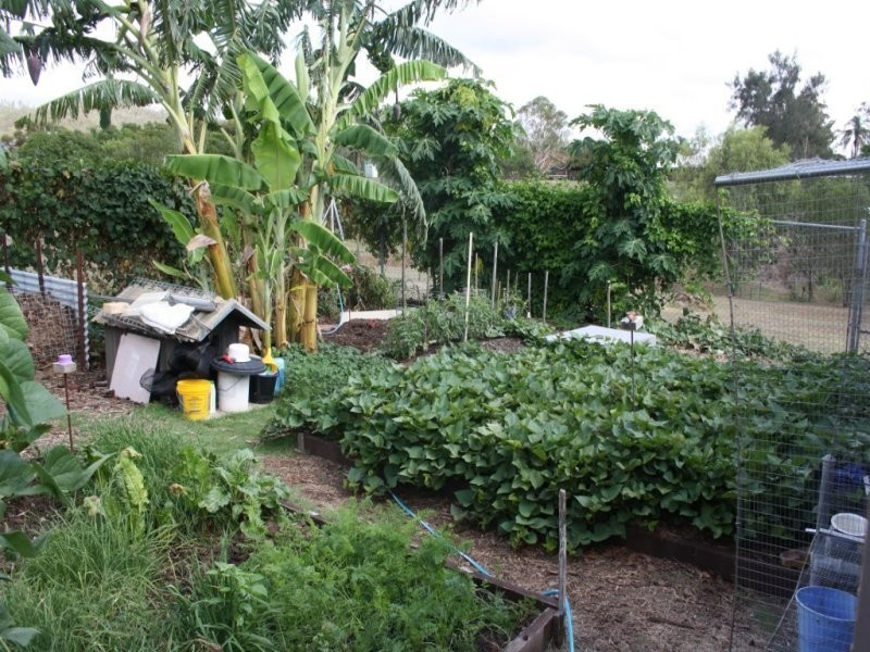 19 Meadows Road, Withcott QLD 4352