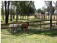 30 Symes Road, Helidon QLD 4344