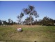 NO. 21 Spotted Gum Road, Gatton QLD 4343