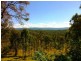 Lot 41 Stevens Road, Murphys Creek QLD 4352