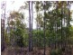Lot 41 Stevens Road, Murphys Creek QLD 4352