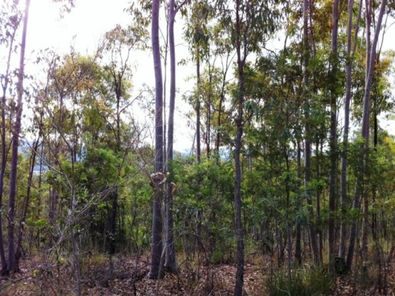 Lot 41 Stevens Road, Murphys Creek QLD 4352