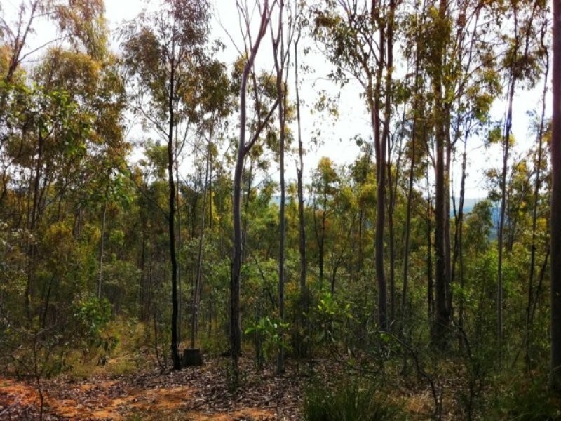 Lot 41 Stevens Road, Murphys Creek QLD 4352