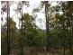 Lot 41 Stevens Road, Murphys Creek QLD 4352