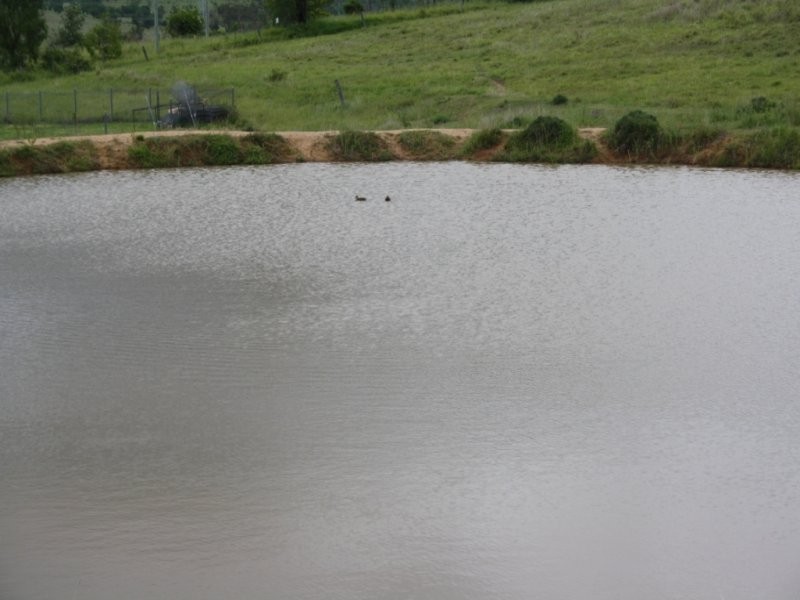 174 Ma Ma – Lilydale Road, Ma Ma Creek QLD 4347