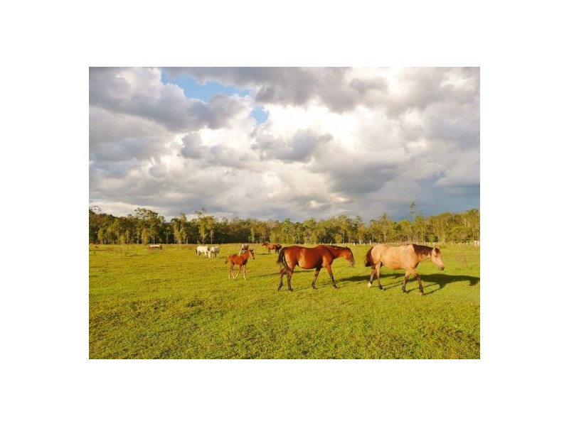 NO. 215 /Lot 24 Bartleys Road, Spring Creek QLD 4343