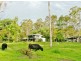 NO. 215 /Lot 24 Bartleys Road, Spring Creek QLD 4343