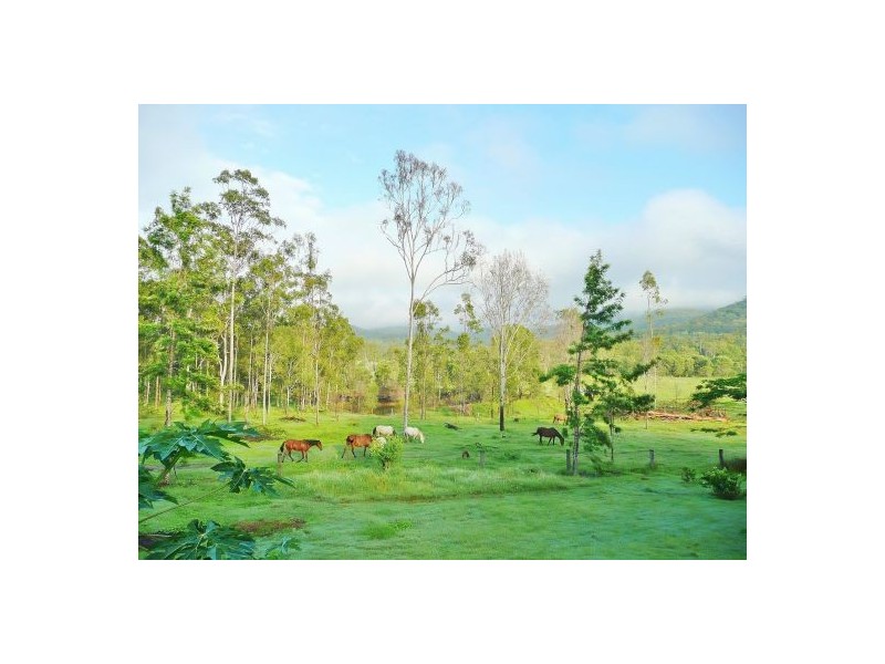 NO. 215 /Lot 24 Bartleys Road, Spring Creek QLD 4343