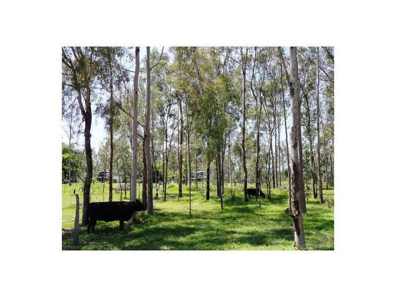 NO. 215 /Lot 24 Bartleys Road, Spring Creek QLD 4343