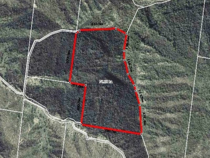 Off Main Camp Road, Thornton QLD 4341