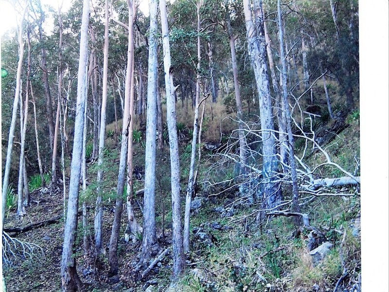 Off Main Camp Road, Thornton QLD 4341