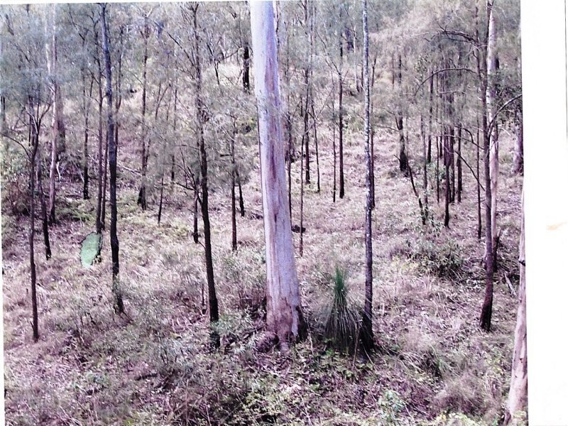 Off Main Camp Road, Thornton QLD 4341
