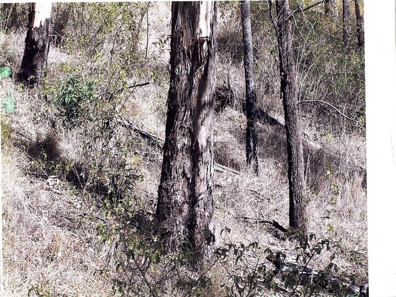 Off Main Camp Road, Thornton QLD 4341