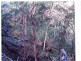 Off Main Camp Road, Thornton QLD 4341