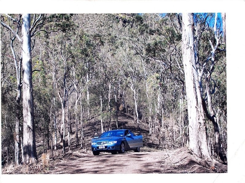 Off Main Camp Road, Thornton QLD 4341
