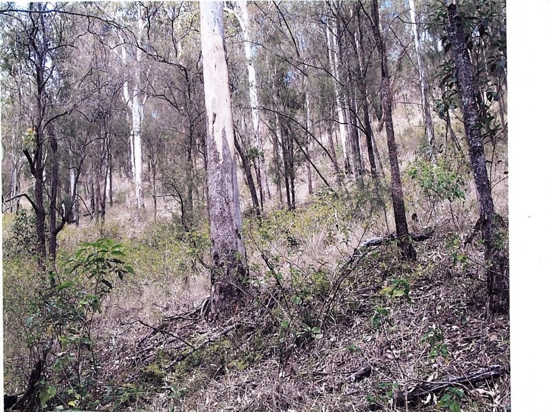 Off Main Camp Road, Thornton QLD 4341