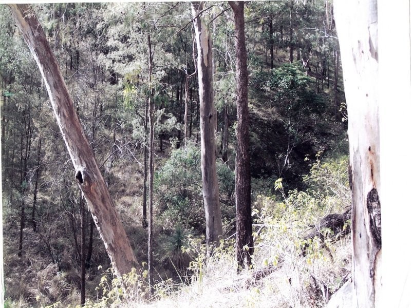 Off Main Camp Road, Thornton QLD 4341