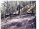 Off Main Camp Road, Thornton QLD 4341