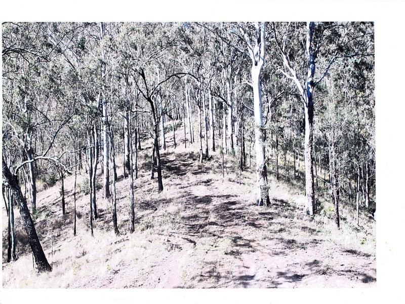 Off Main Camp Road, Thornton QLD 4341