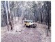 Off Main Camp Road, Thornton QLD 4341