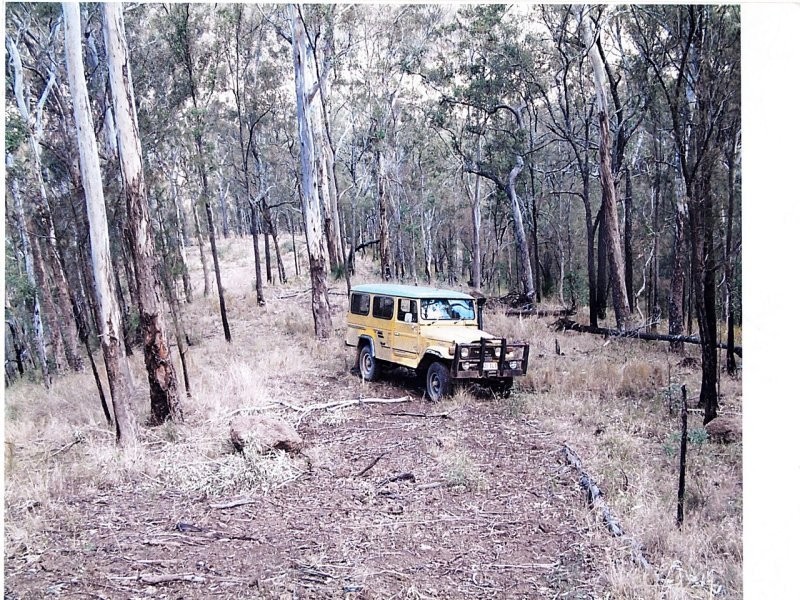 Off Main Camp Road, Thornton QLD 4341