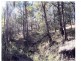 Off Main Camp Road, Thornton QLD 4341