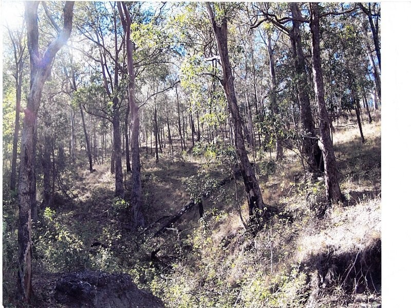 Off Main Camp Road, Thornton QLD 4341