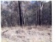 Off Main Camp Road, Thornton QLD 4341