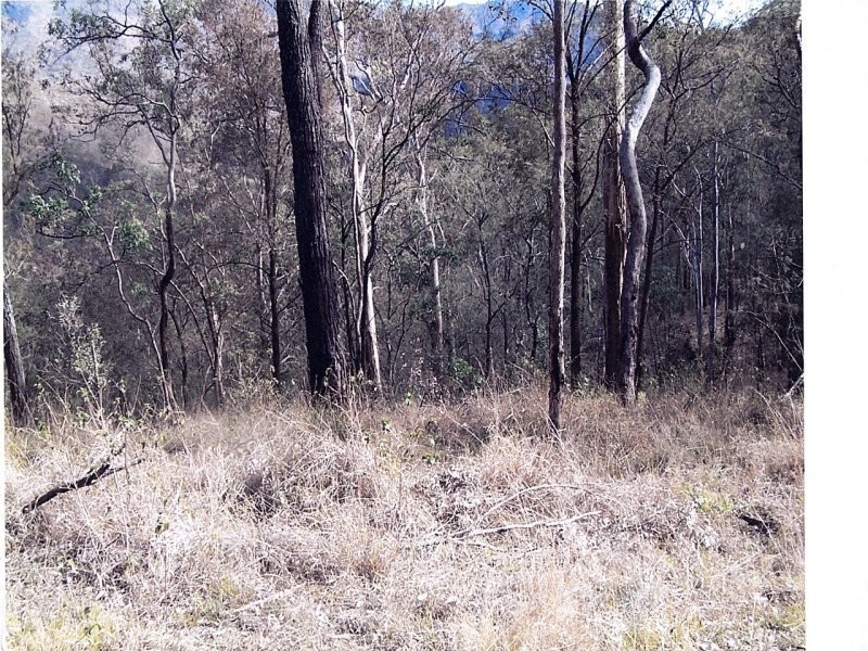 Off Main Camp Road, Thornton QLD 4341
