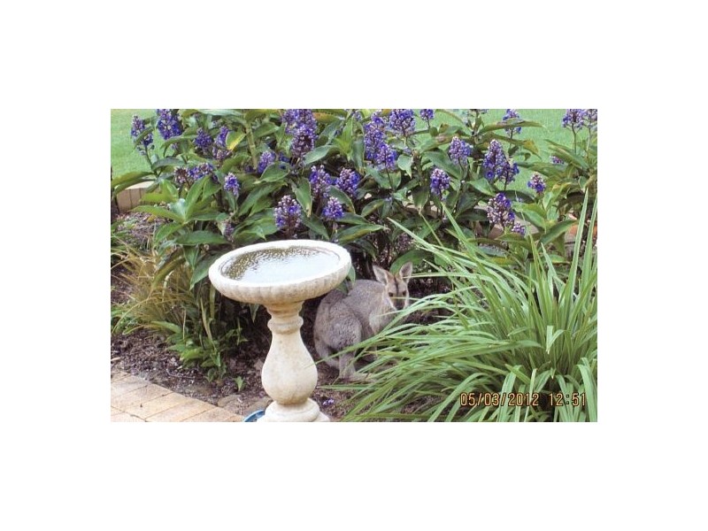 21 Meadows Road, Withcott QLD 4352